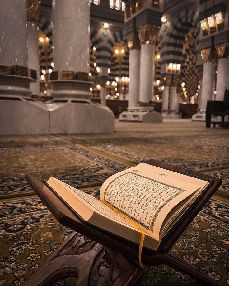 Olive drab green insulated bottle with flared screw lid and flat top.