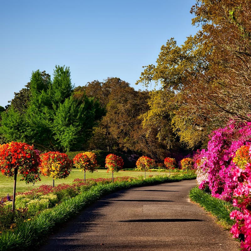 Professional landscapers working on outdoor space in Nanaimo BC