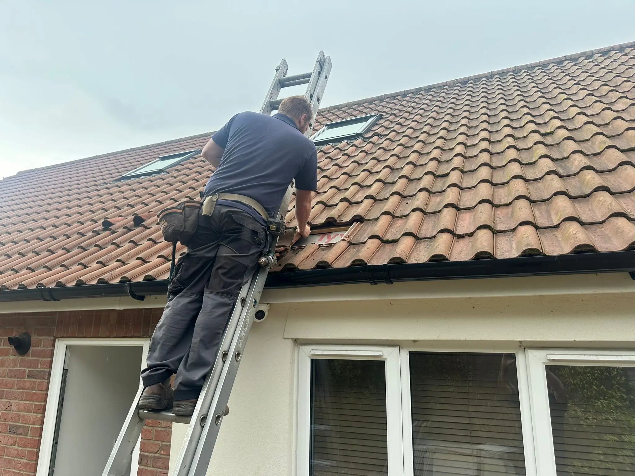 Repairs (Roof & Timber) Work Example Photo from established and trusted Norwich Roofer - Cornfield Roofing