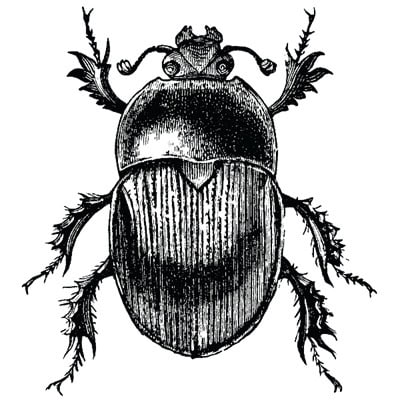 UITCASEƎ eco-friendly luxury luggage beetle logo website and branding development by Bath Digital Marketing Agency