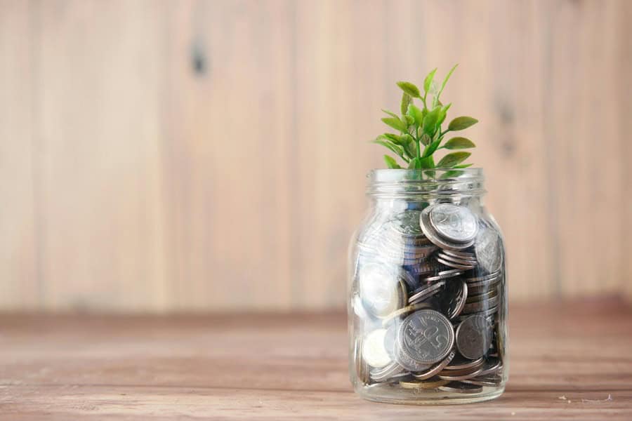 Glass jar filled with coins and a small green plant growing from the top, symbolising savings and growth. Bath Digital Marketing Agency