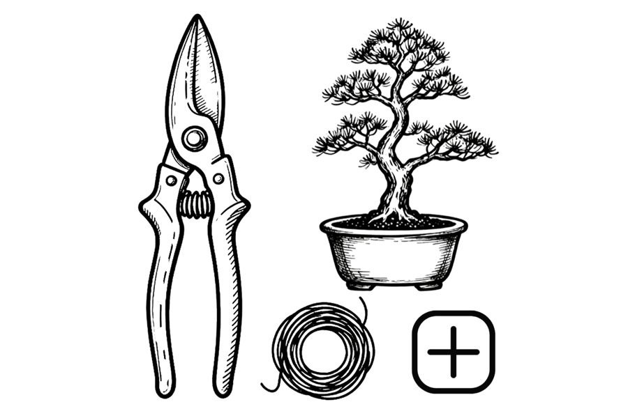 Bonsai gardening tools including pruning shears, a small potted bonsai tree, and a coil of training wire. Website and branding development by Bath Digital Marketing Agency