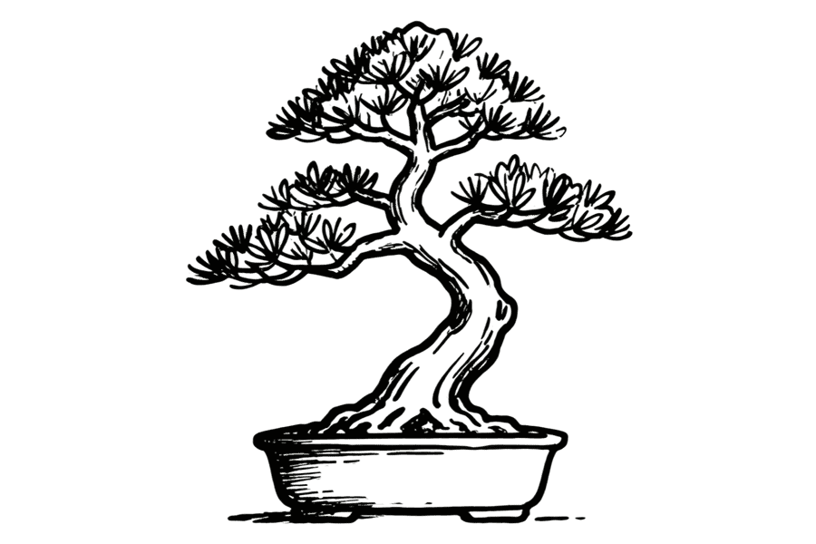 A black and white line art illustration of a bonsai tree in a pot. The illustration is in a retro etching or sketch style.  Website and branding development by Bath Digital Marketing Agency