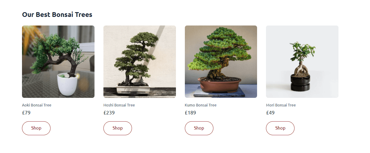 A selection of four bonsai trees available for purchase by Bath Digital Marketing Agency