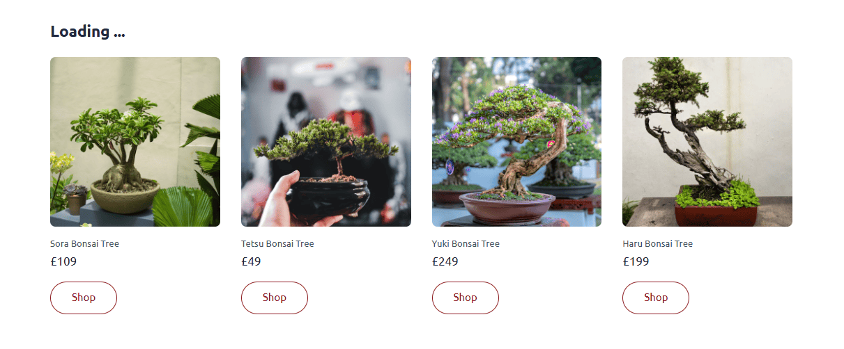 A selection of four different bonsai trees available for purchase from Bonsaii by Bath Digital Marketing Agency