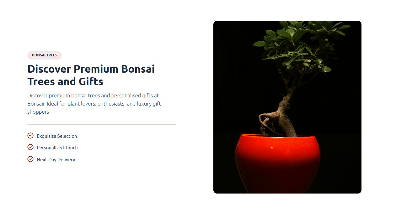 A webpage advertising premium bonsai trees from Bonsaii, featuring text about exquisite selection and next-day delivery on the left, and a photo of a small ficus bonsai in a round, glossy red pot on the right by Bath Digital Marketing Agency