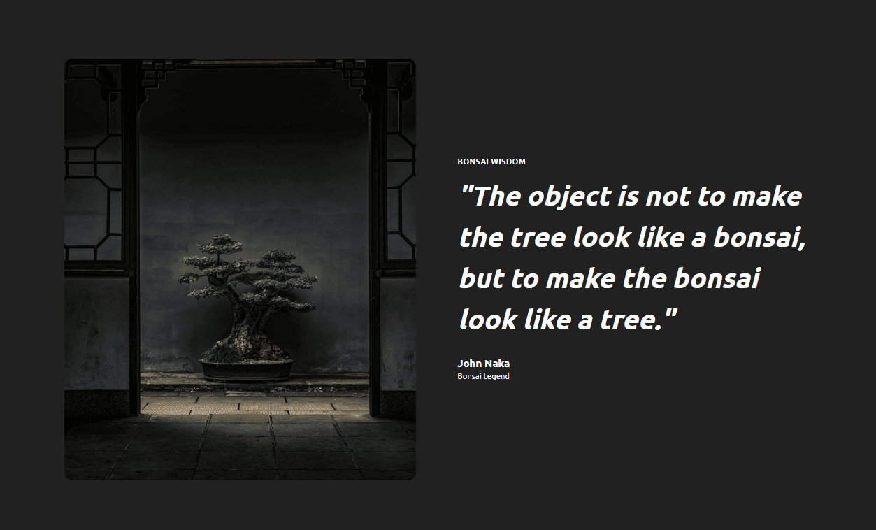 A bonsai tree in a dimly lit setting with a quote by John Naka: "The object is not to make the tree look like a bonsai, but to make the bonsai look like a tree by Bath Digital Marketing Agency