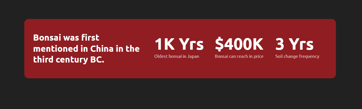 Infographic with bonsai facts: first mentioned in China 3rd century BC, oldest in Japan is 1000 years old, can reach $400K in price, soil change frequency every 3 years by Bath Digital Marketing Agency