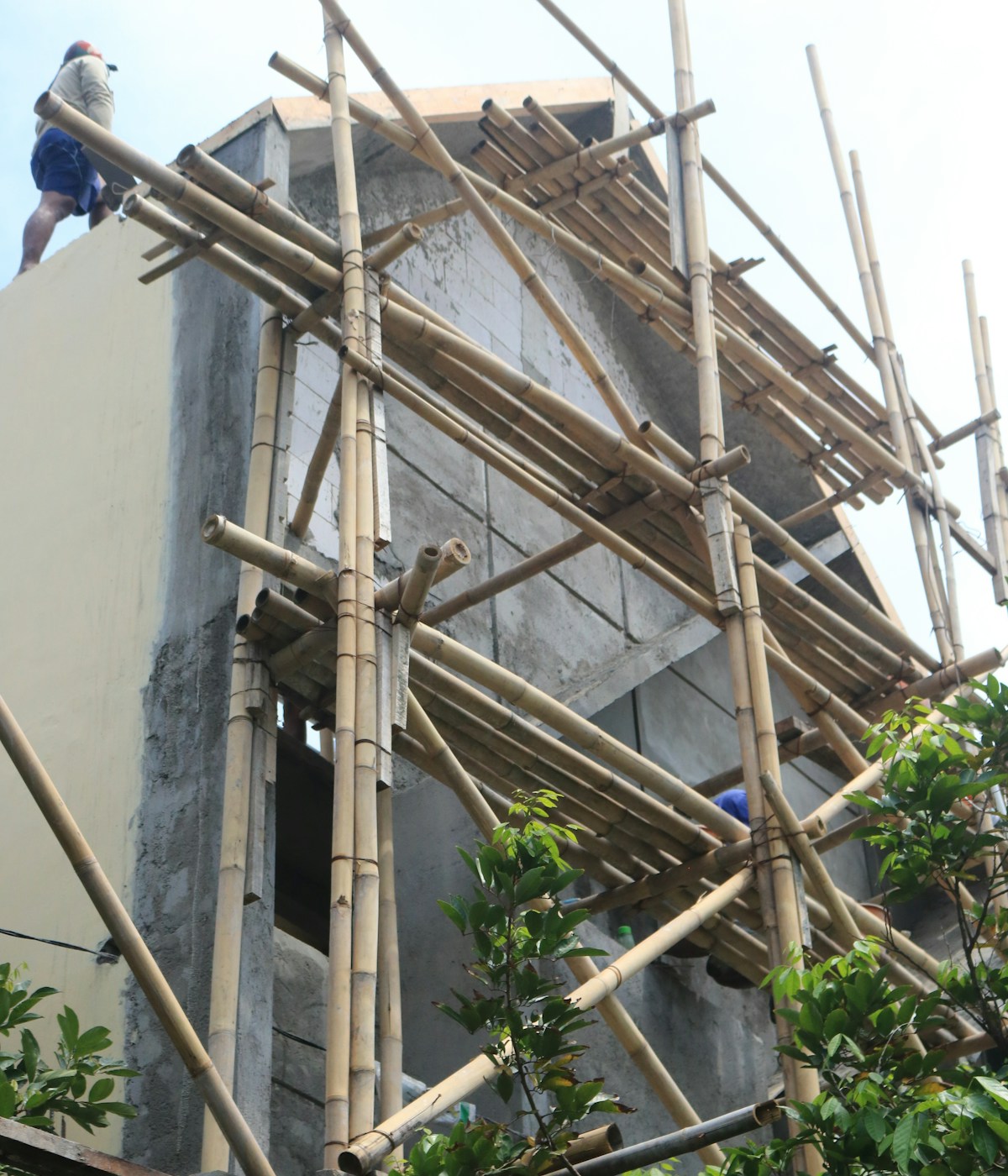 Image Description