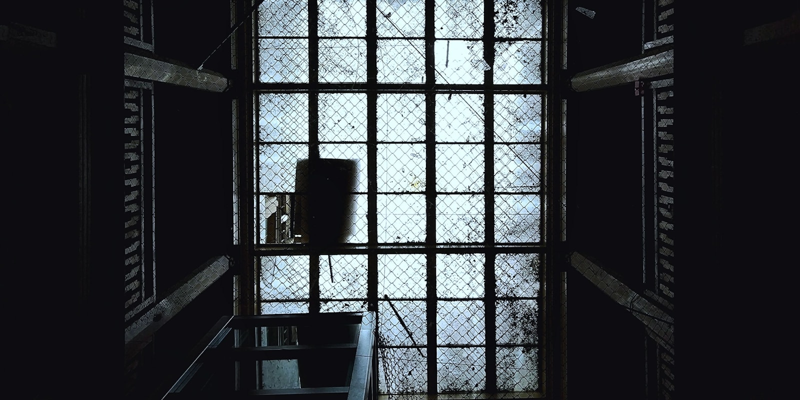 Image Description