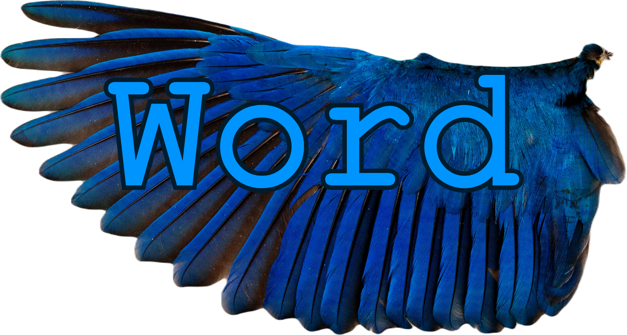 Word On A Wing Press is Obsidian Eagle's personal Imprint.