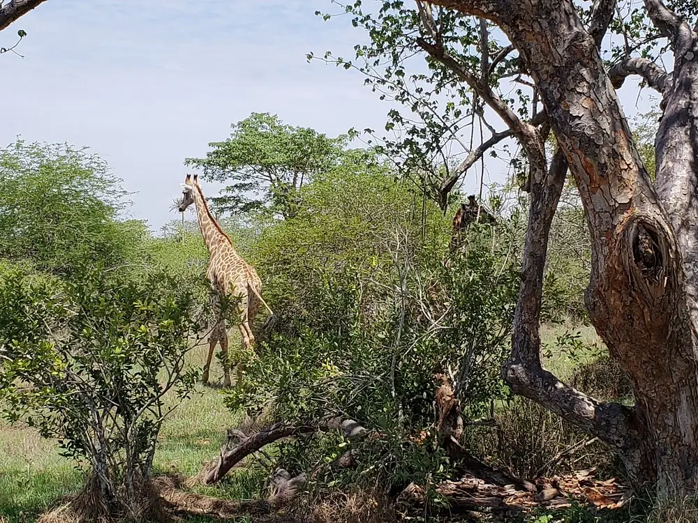 Quiçama National Park