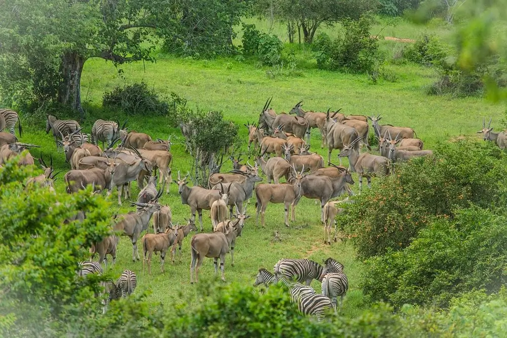 Parque Nacional do Quiçama