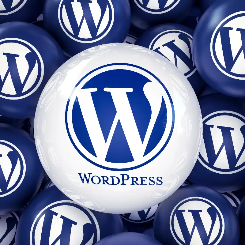 WordPress Basics: Setting Up Your First Website