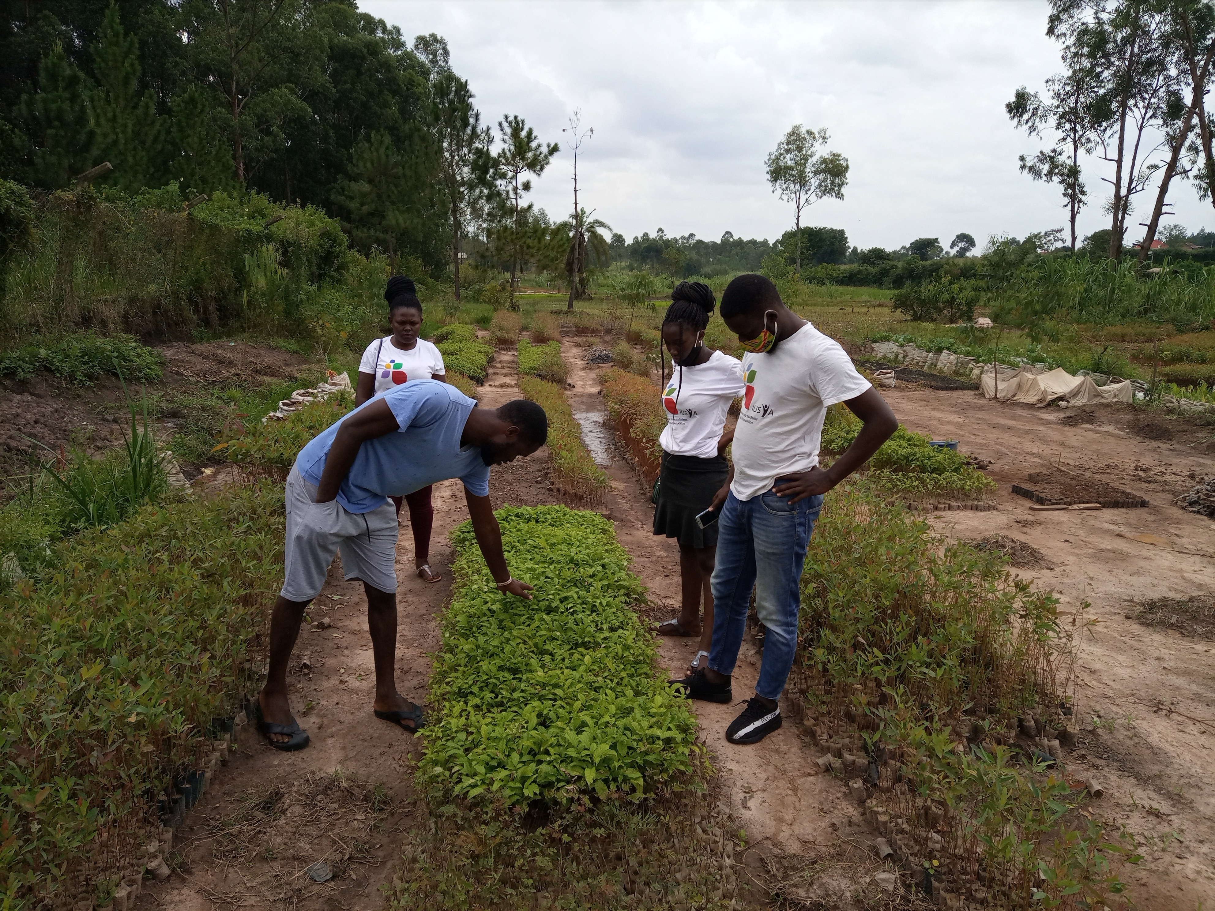 Two each of gray, white, and black shirts laying flat.