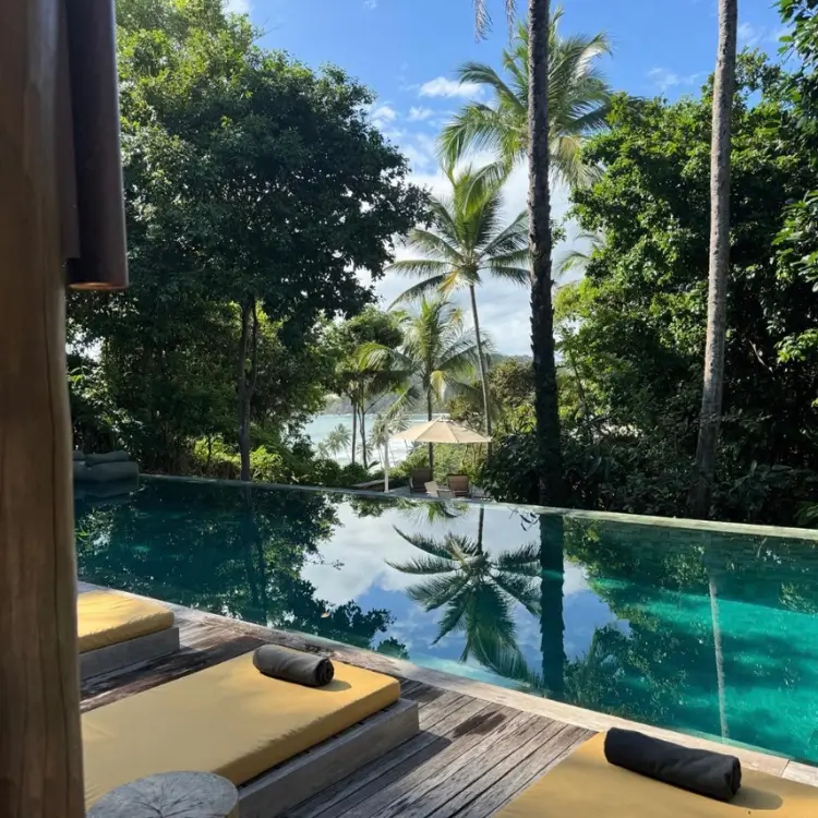 Poolside loungers with jungle backdrop