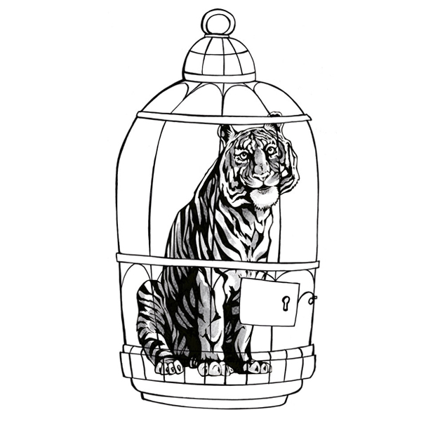 Sustainability & climate adaptation