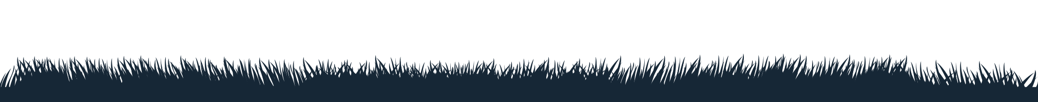 Decorative grass border