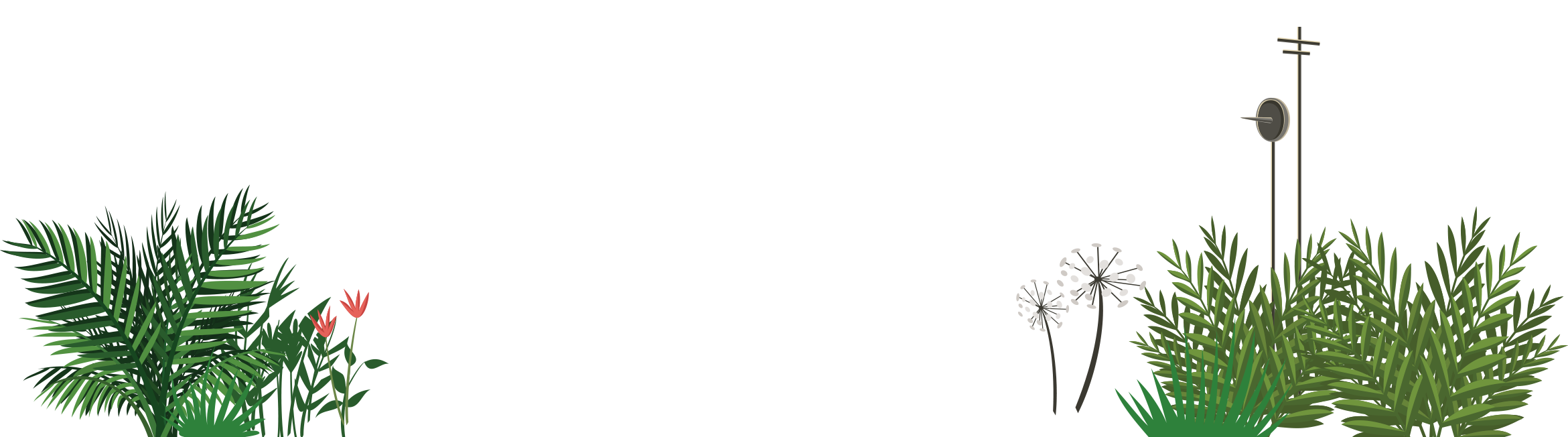 Second layer stuff grass