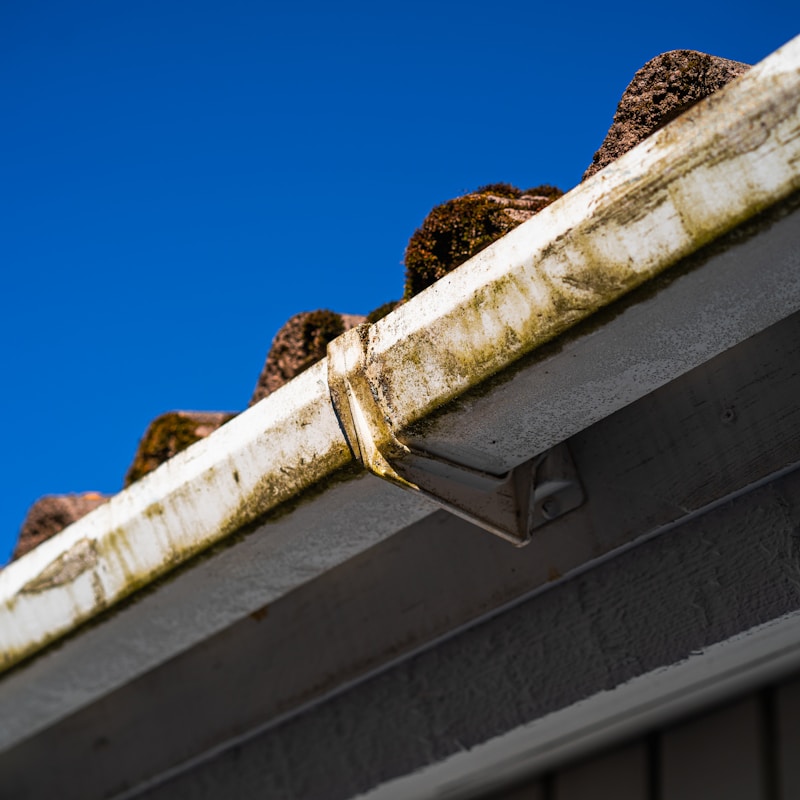 D C Richmond Roofing in Norwich & Norfolk | Blog Article - Five Signs That Your Guttering Has Failed And Needs Immediate Attention