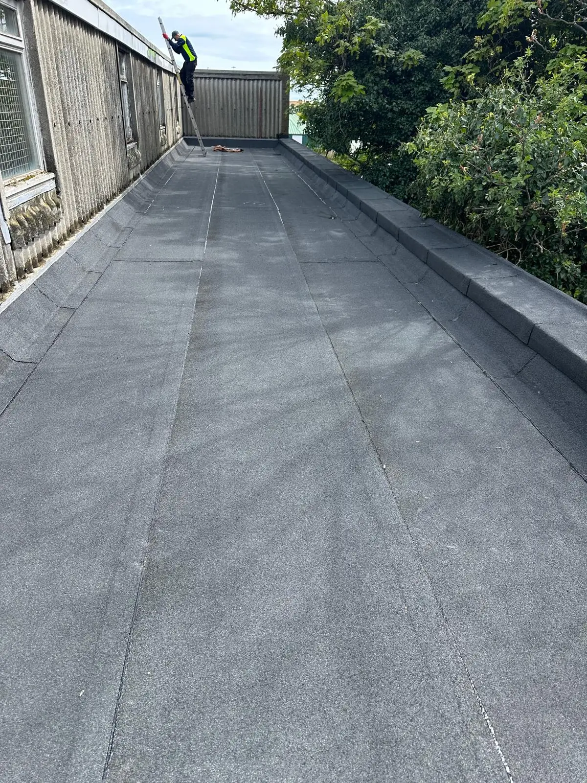 D C Richmond Roofing Blog - Flat Roofing in Norfolk – Which is the Best Option?