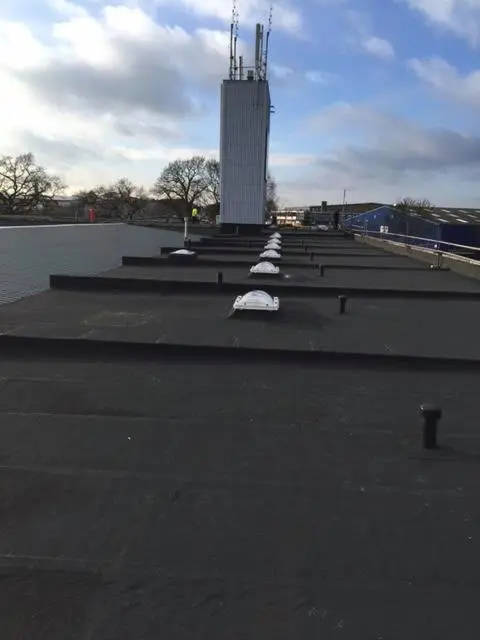 D C Richmond Roofing in Norwich & Norfolk | Blog Article - Avoid Costly Repairs with These five Flat Roof Maintenance Tips