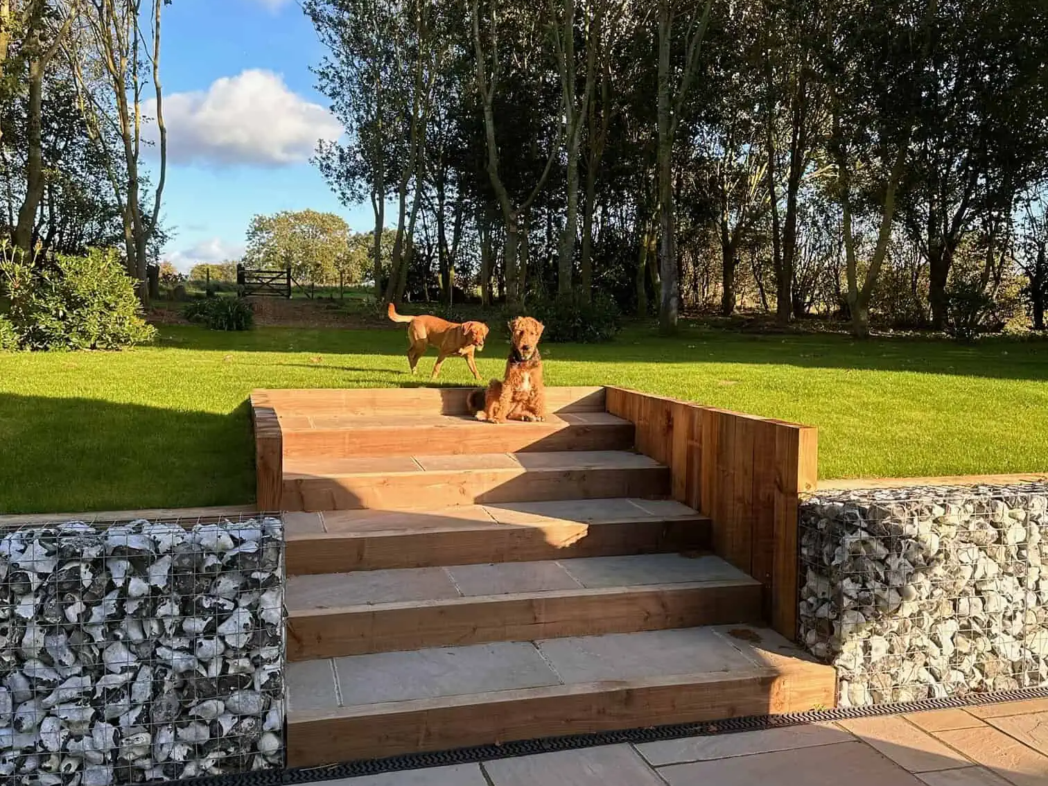 Building Solutions here at Constructional Fixing Services is a leading East Anglian Roofing and Cladding Subcontractor