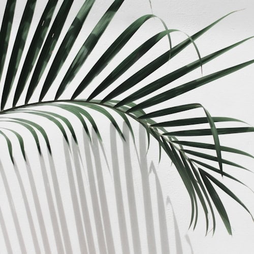 Leaf Luxury Boutique African resort with sea views in Santiago, Cape Verde Photo Unsplash Cape Verdium