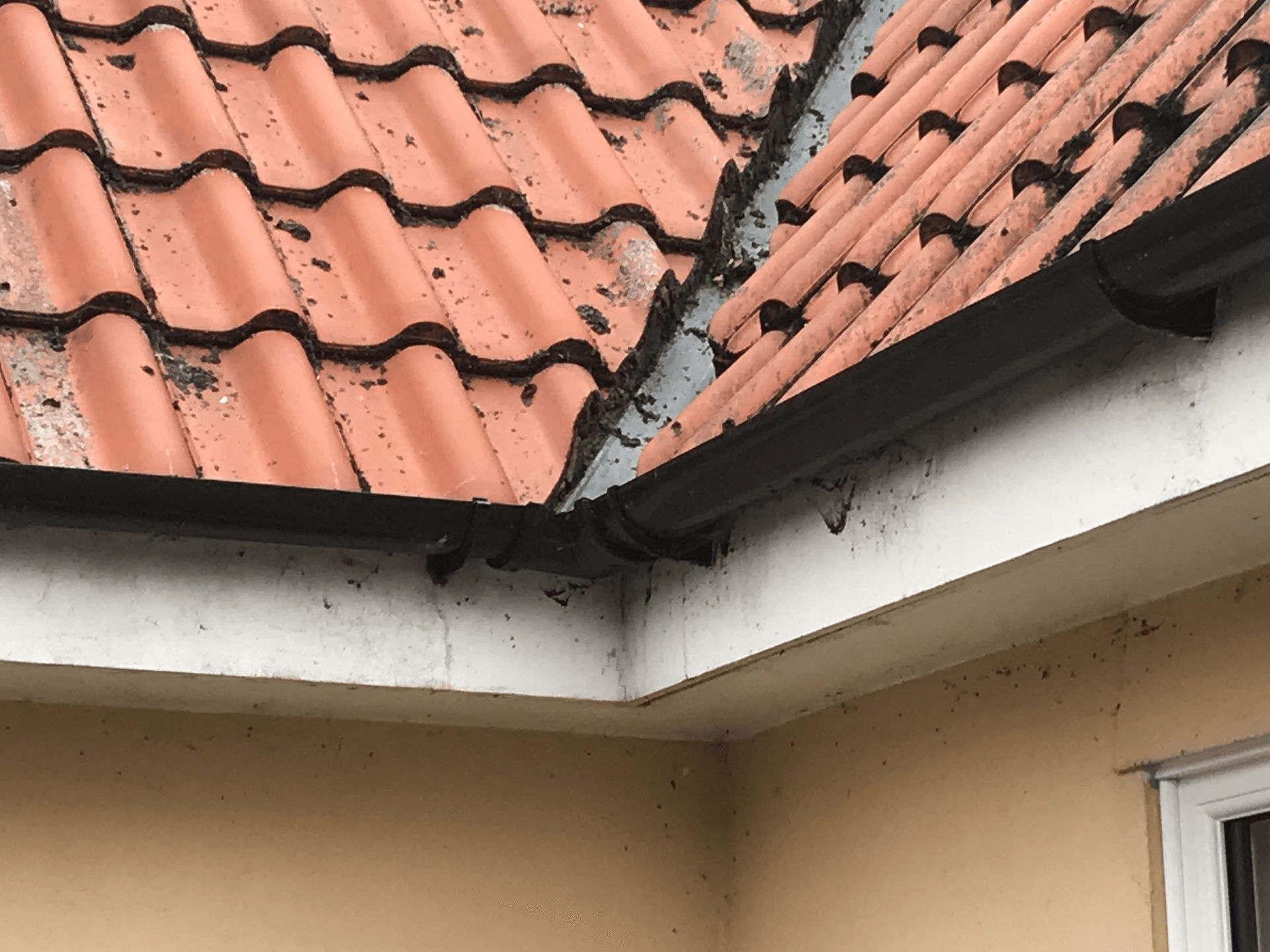 Guttering Norwich & Norfolk Work Examples (Before KK Installation)