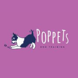 Matthew Wood, Creative Business Copywriter, Cambridge. Has worked with Poppets Dog Training.