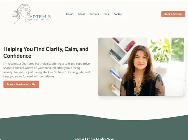 Artemis website preview