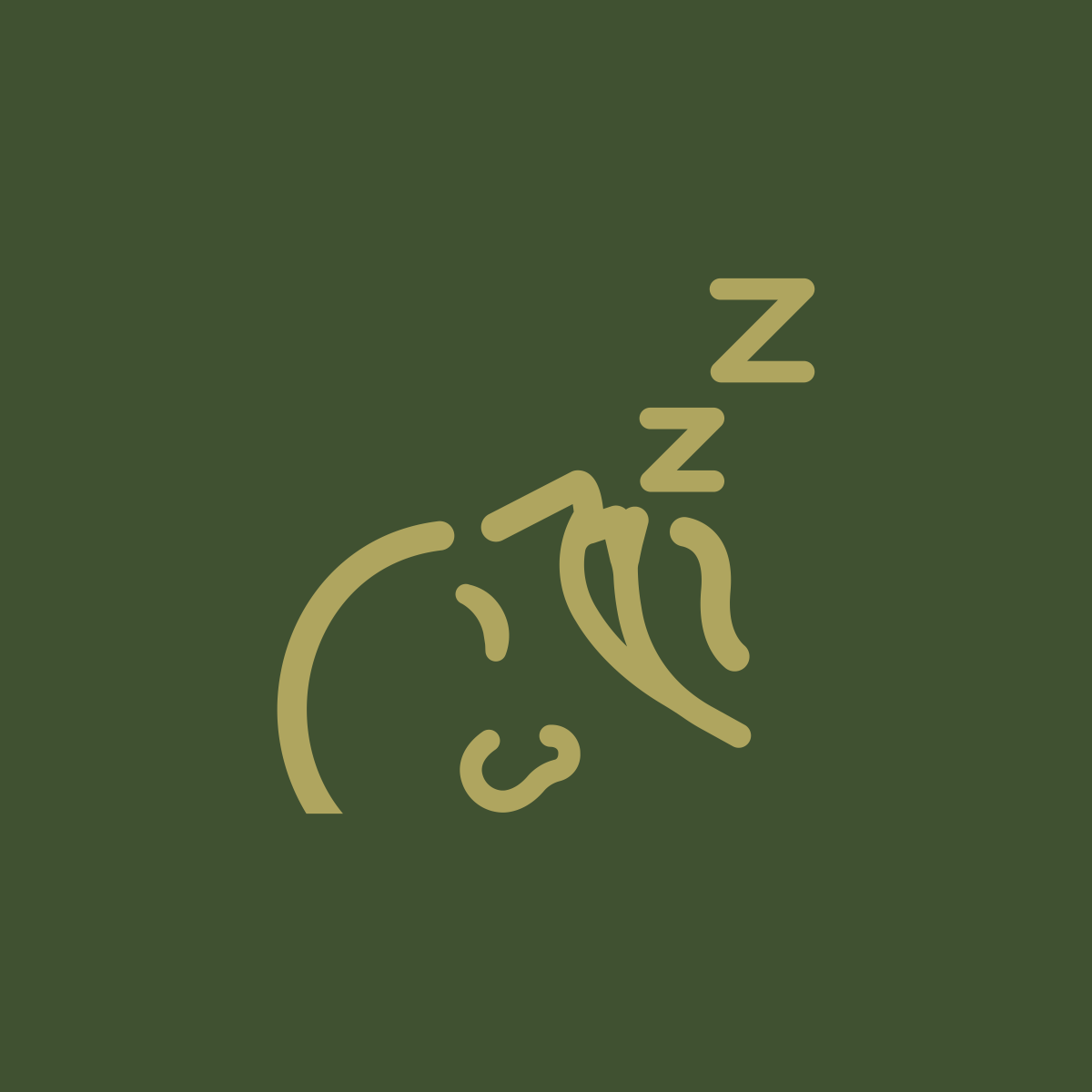 General Dentistry - Snoring Treatment at Harleston Dental and Aesthetics Clinic