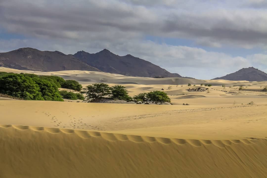 Forest and and dunes on Boa Vista Cabo Verde – Cape Verde Weather Guide and Holiday Tips -  Photo by Nick Fewings | Cape Verde African Caribbean