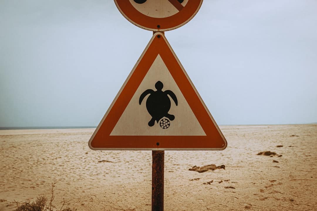 Turtle nesting sign on a Boa Vista beach in Cabo Verde – Where is Cape Verde, Map, Guide and Tips - Photo by Katarzyna Urbanek | Cape Verde African Caribbean