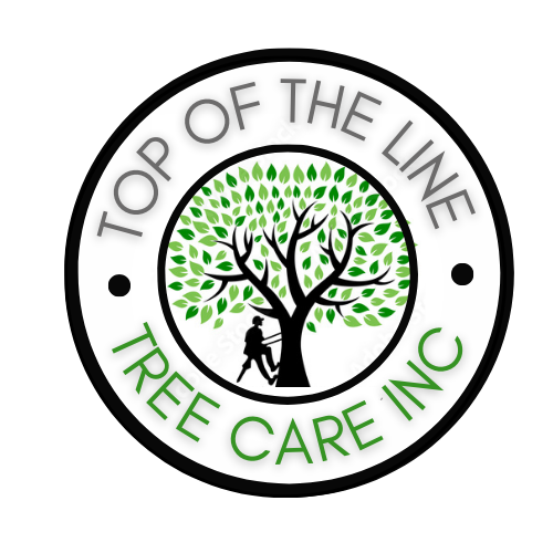 Logo Full