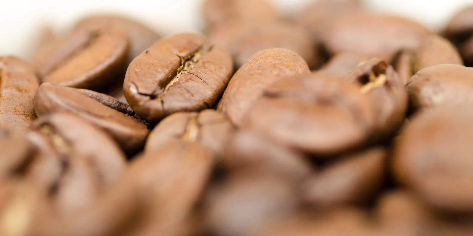 A close-up of roasted Beann artisan coffee beans - beann speciality coffee