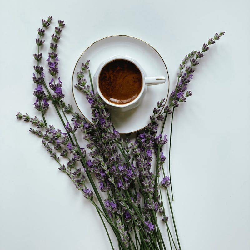 A white cup of dark artisan coffee on a saucer, surrounded by fresh purple lavender sprigs - beann speciality coffee