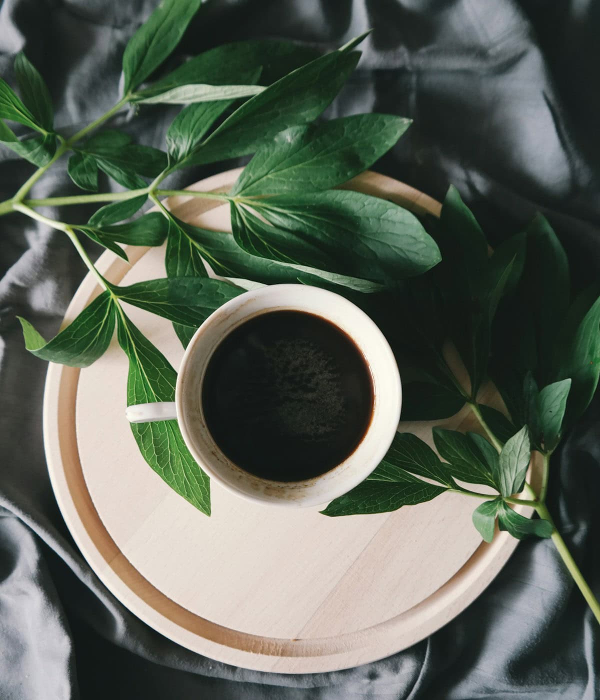 A cup of black artisan coffee on a wooden tray, surrounded by large green leaves - beann speciality coffee