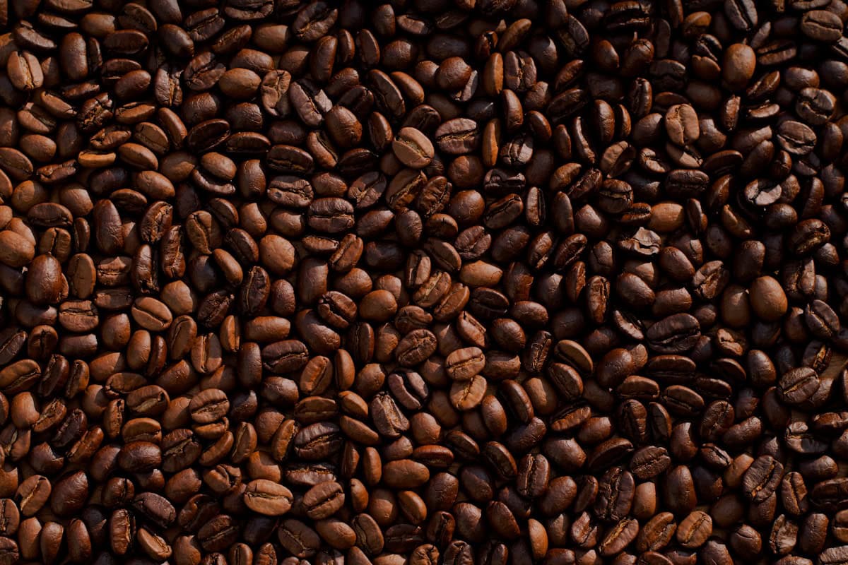 Close-up of dark roasted artisan coffee beans - beann speciality coffee
