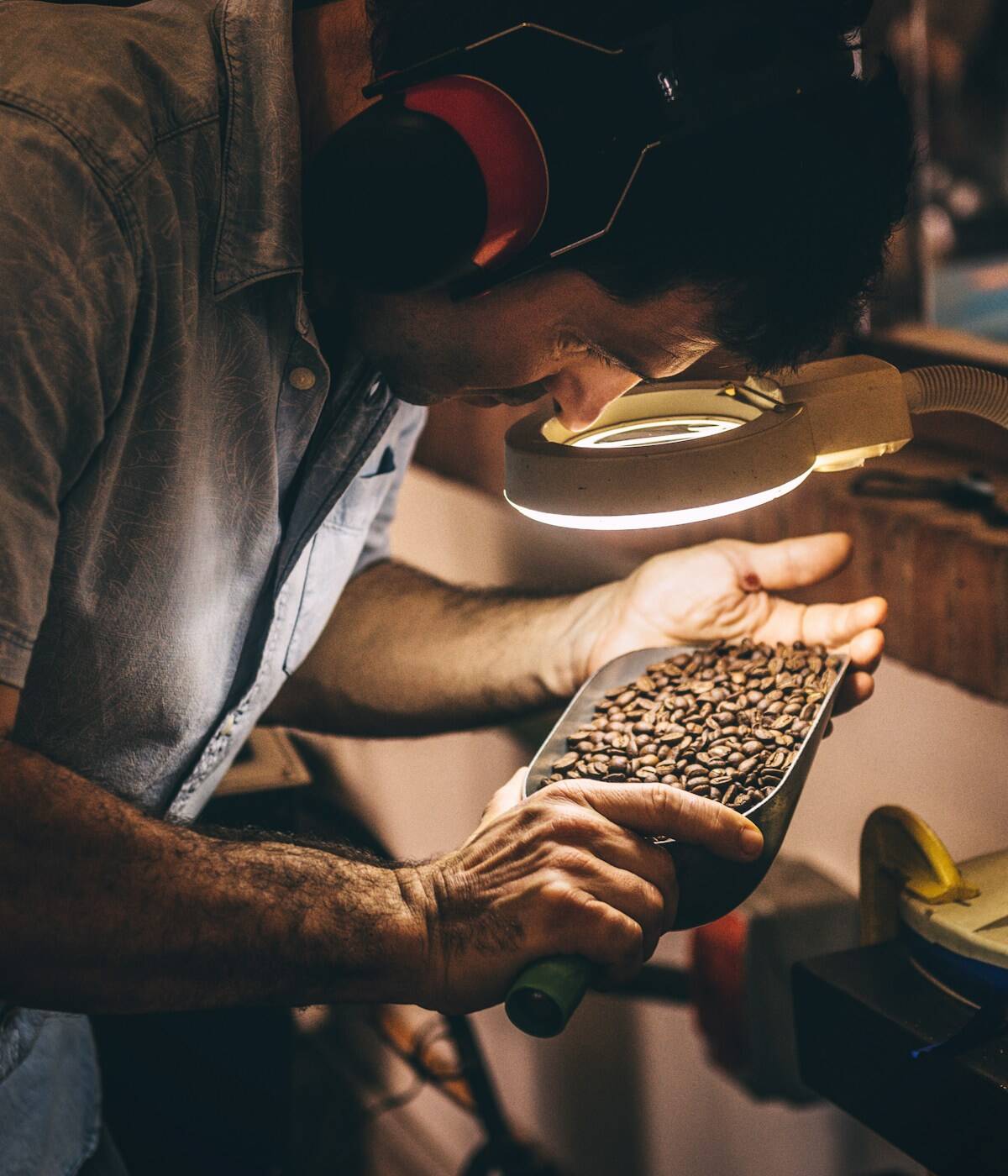 A coffee roaster inspects freshly roasted coffee beans with a magnifying lamp - beann artisan coffee