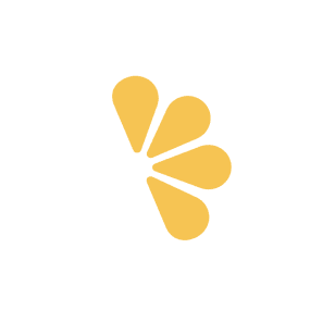 Users Images