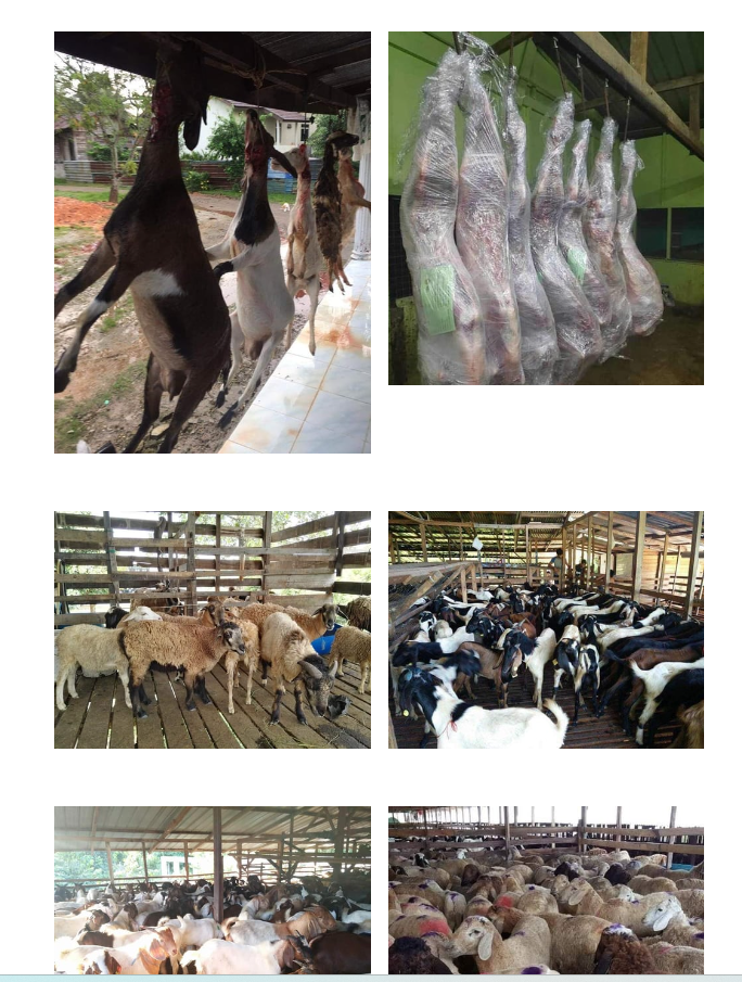 Two each of gray, white, and black shirts laying flat.