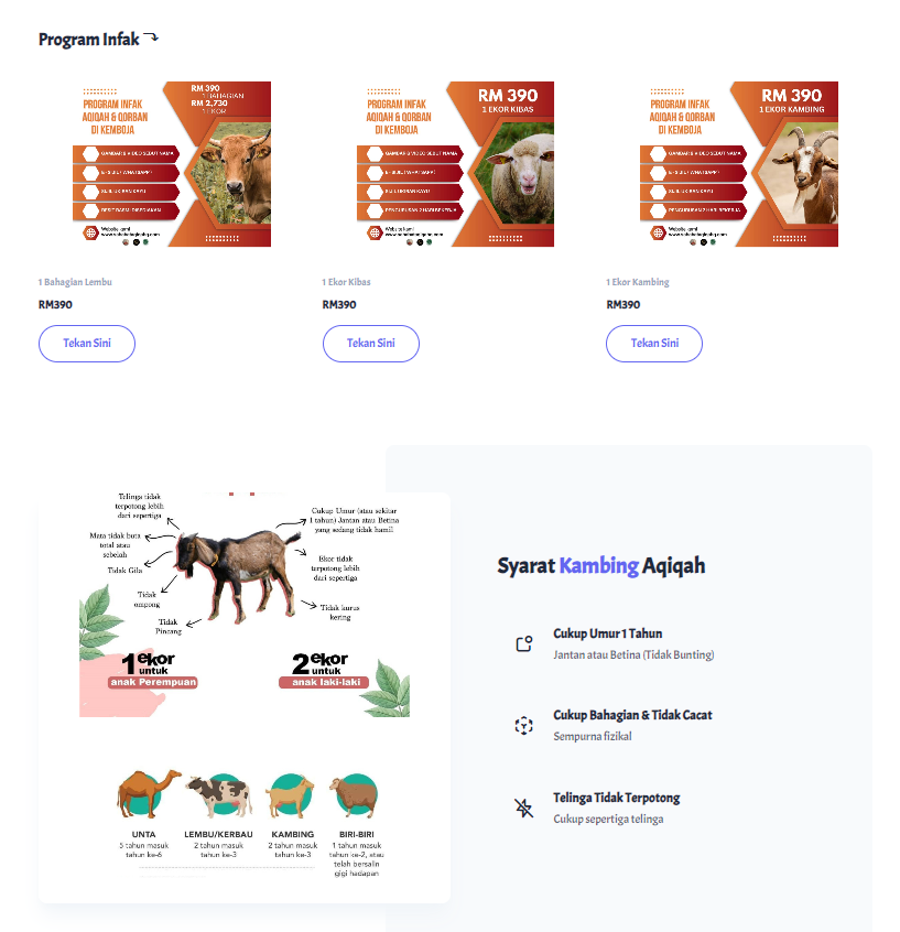 Model wearing plain white basic tee.