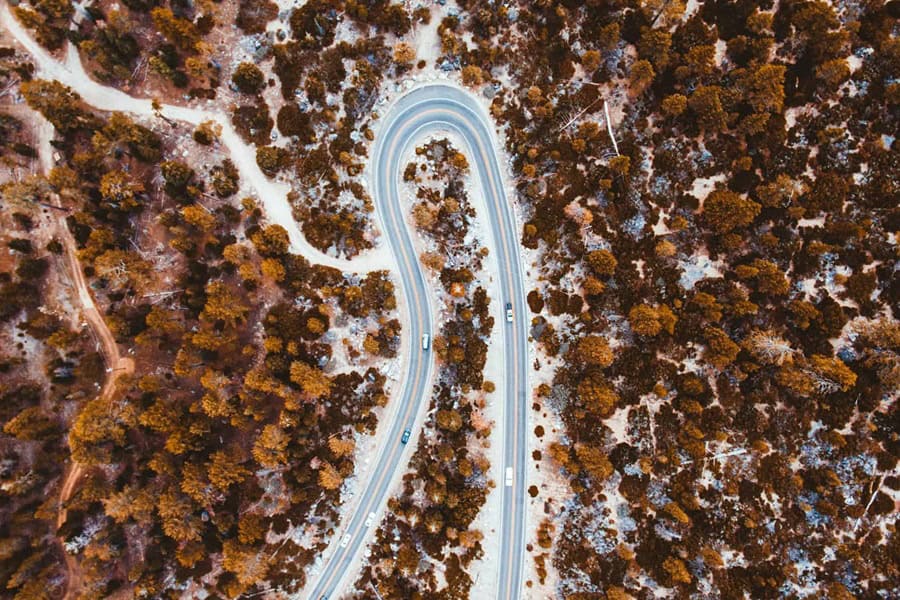 Road through forest from above – digital innovation growth consultancy for businesses - Photo by Fabian Quintero | de Paula