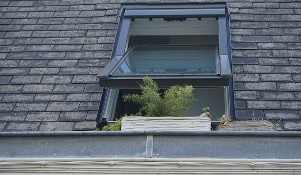 window