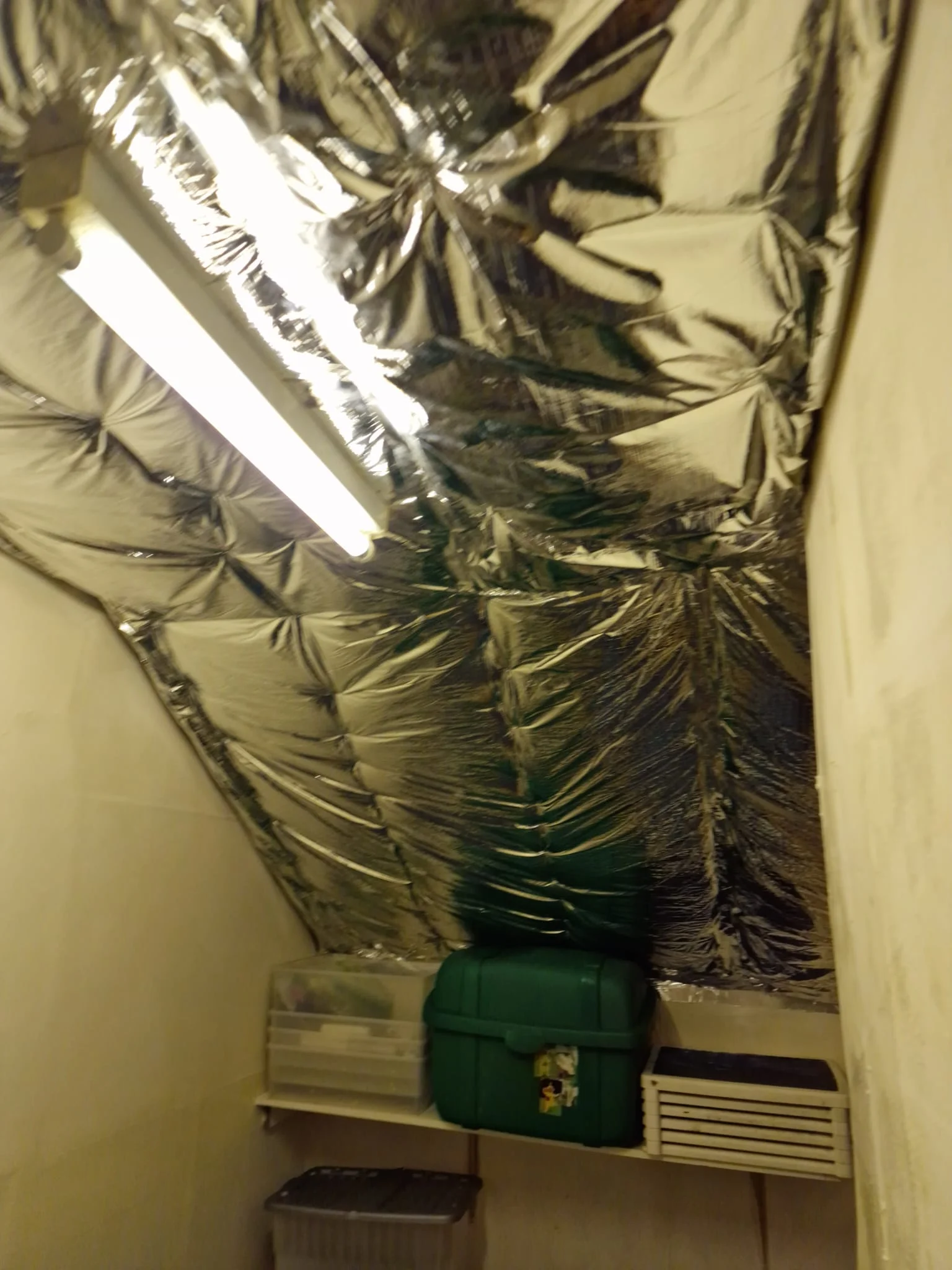 Loft Insulation Example from Eastern Renovations LTD