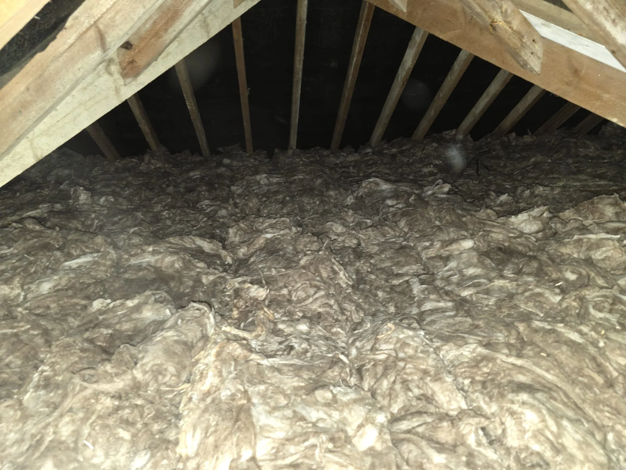 Loft Insulation Example from Eastern Renovations LTD