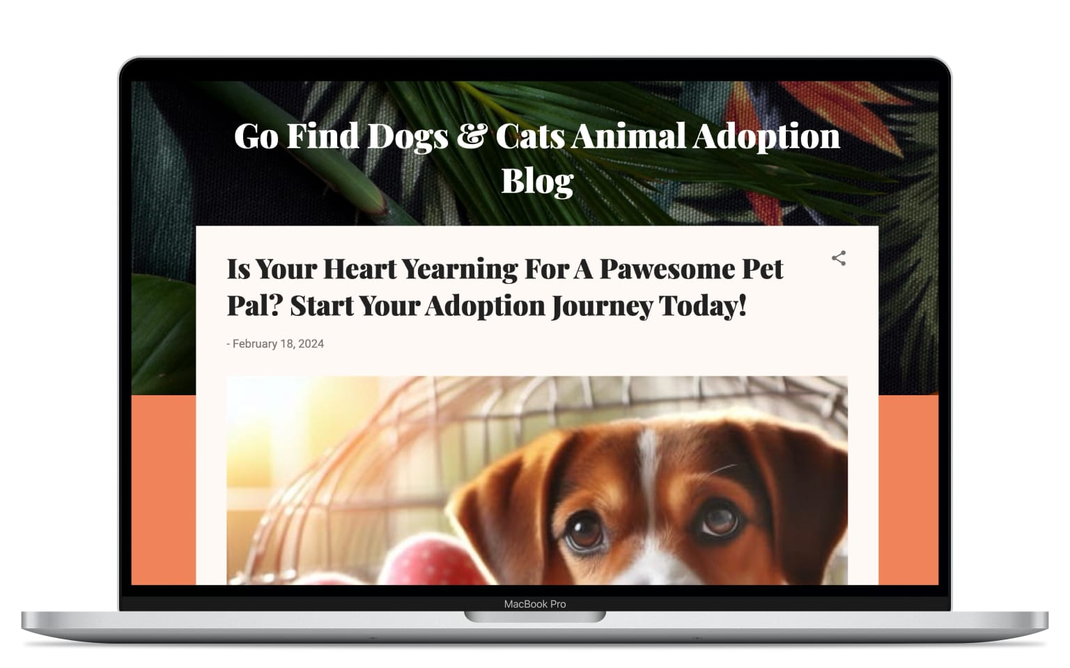 Adoption Blog