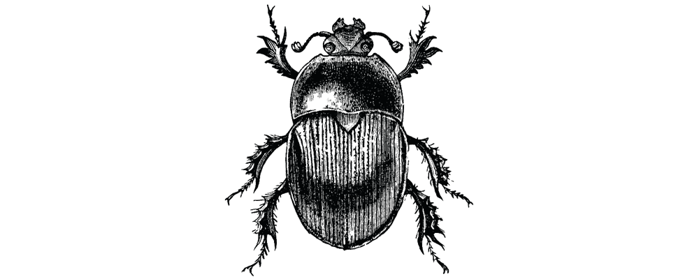 SUITCASEƎ Luggage beetle logo, featuring a contemporary design that conveys durability and travel elegance