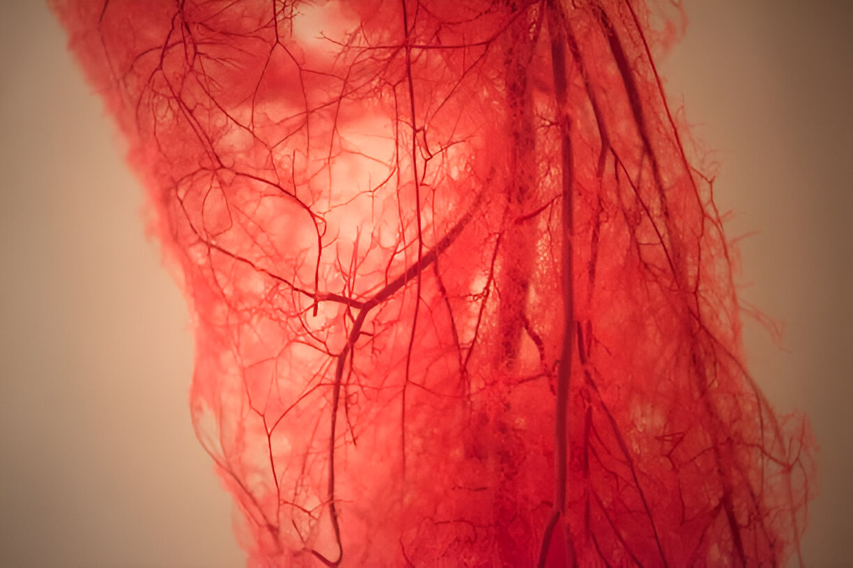 Olive drab green insulated bottle with flared screw lid and flat top.